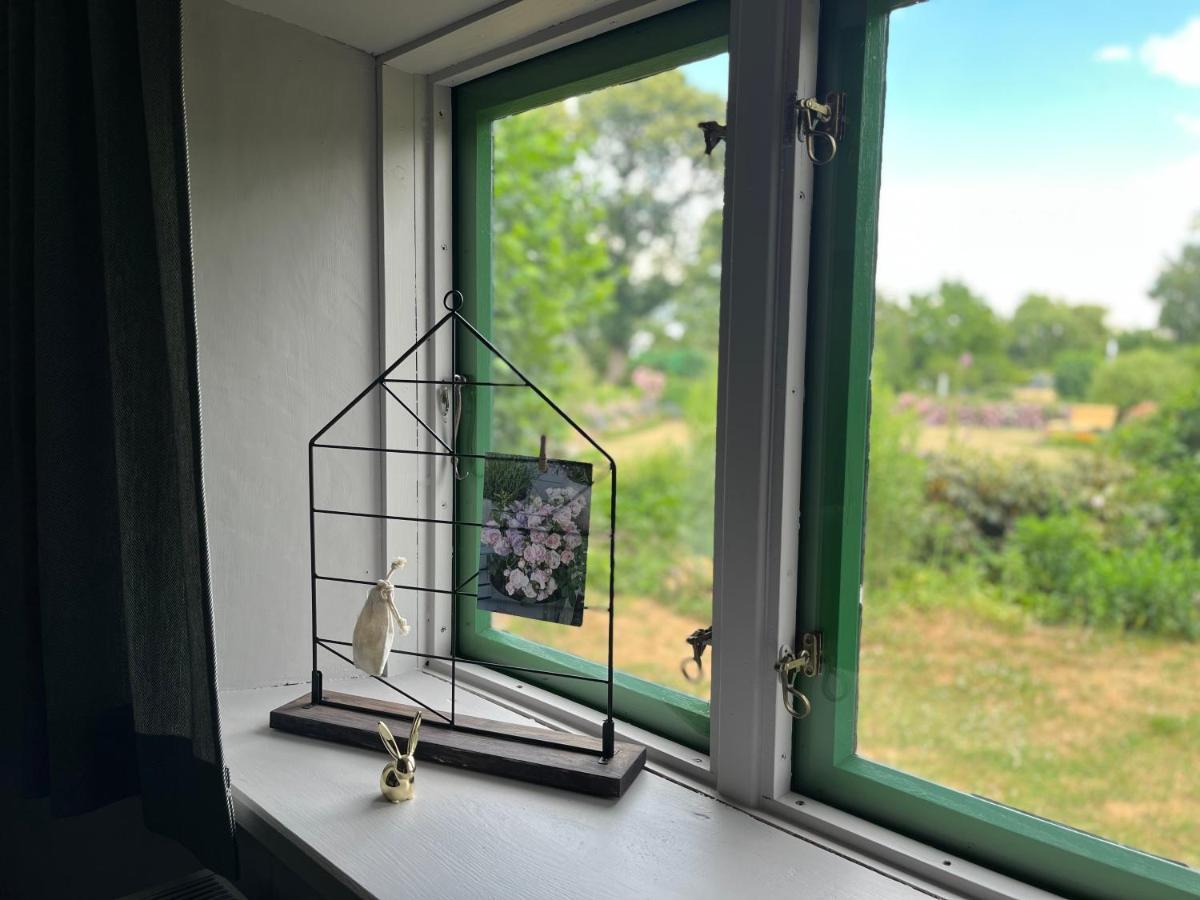 Reetscheune Kruezen Kruzen Exteriér fotografie